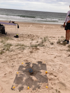 Turtle nest on a Bribie beach next to the tents of daycampers