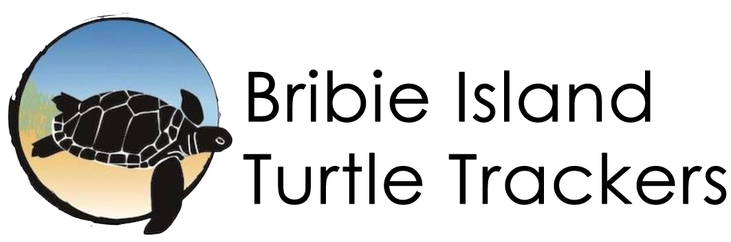 Bribie Island Turtle Trackers