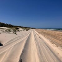 Wheel tracks from 4WD are visible the length of a white beach.